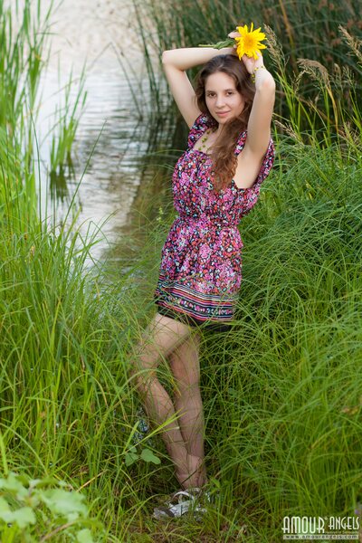 Floral Meadow Tease With Lily In Soft Sunlight By Lakeside Scene - photo 01