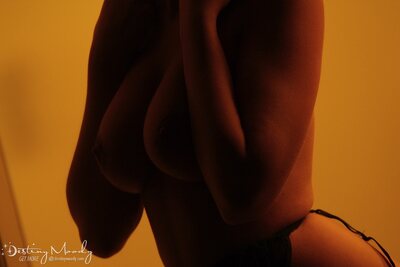 Destiny Moody Silhouette - photo 09