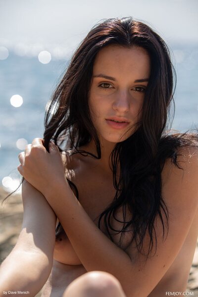 Sasha C Beach Day By Femjoy - photo 13