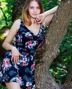 Dakota Pink Nature Peak By Met Art