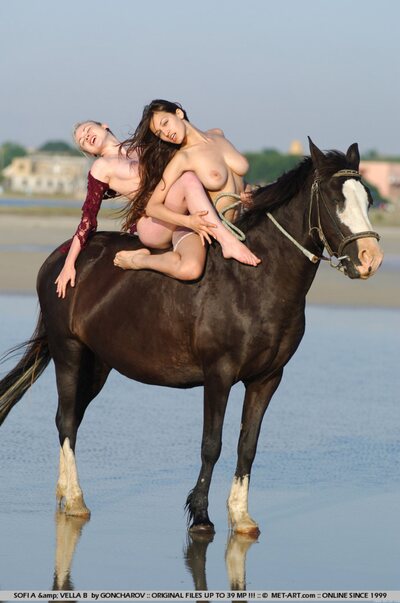 Horses and Sofi A - photo 18