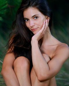 Aleksandrina Pine Forest By Met Art