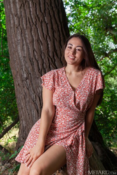 Sumiko Summer Dress By Met Art - photo 00