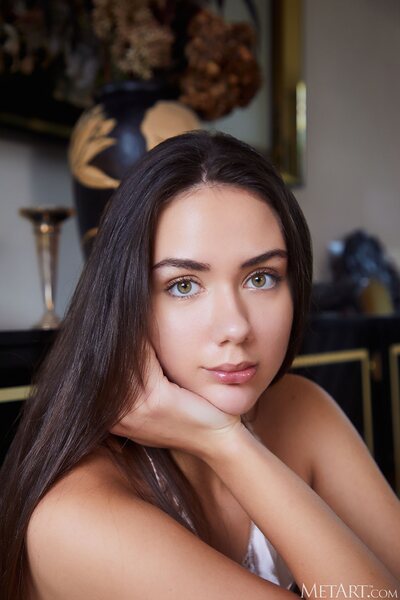 Silk Lingerie Moments With Vixi Rafi In Elegant Interiors Set - photo 04