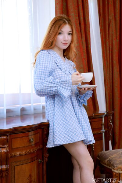 Bright Window Light And Blue Check Dress Mood With Fiona Indoors - photo 00