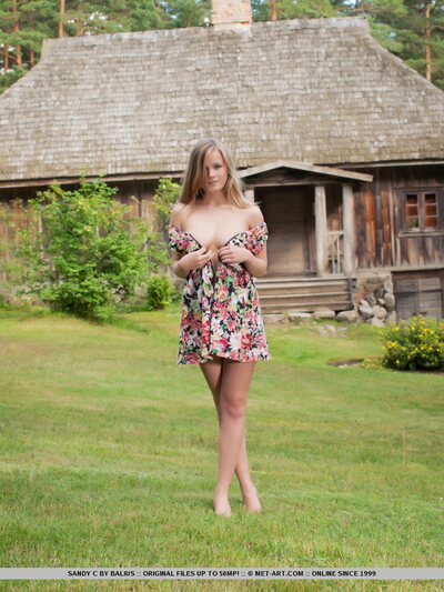 Natural Sandy C - photo 02