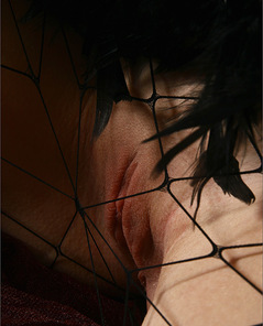 Olia Baroque By MPL Studios