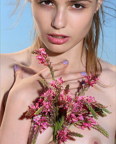 Elle Beautiful Dream By MPL Studios