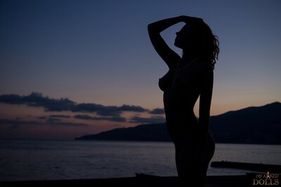 Ariel Naked Doll - photo 11