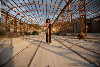 Lola Wild Spirit By Photodromm - photo 00