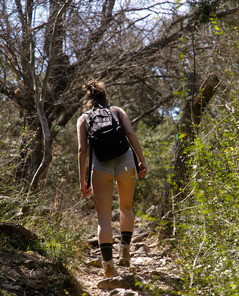 Zeta BB Long Creek Trail By Zishy